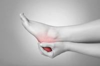 What is the Plantar Fascia?